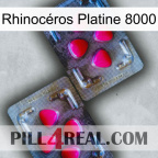Rhinocéros Platine 8000 15